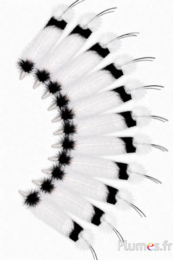 Gans - Indianerfeder - 30-35 cm - weiß-schwarz